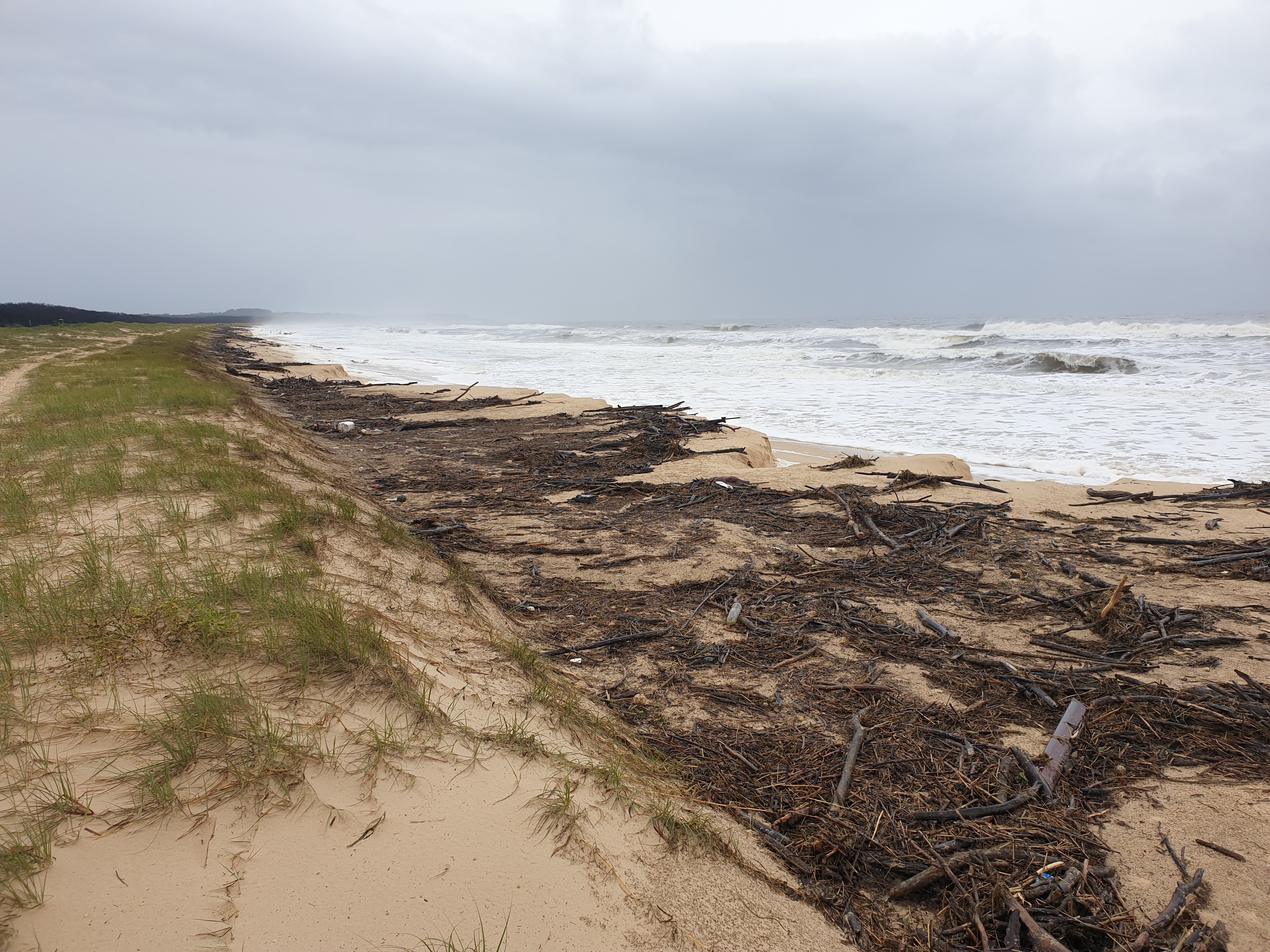 Clean Up Of Public Spaces Underway On Midcoast Midcoast Council