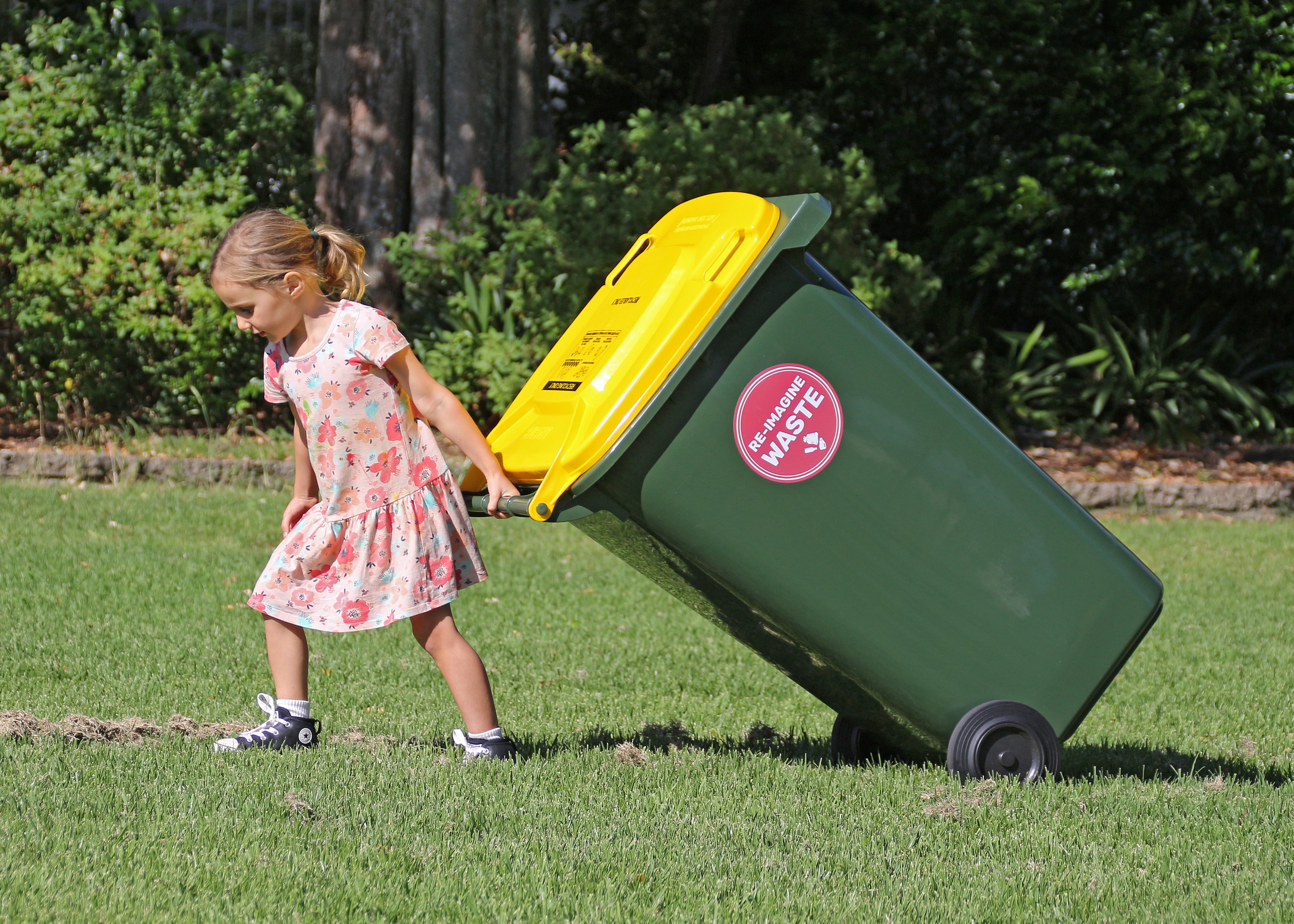 Place your bins out the night before MidCoast Council