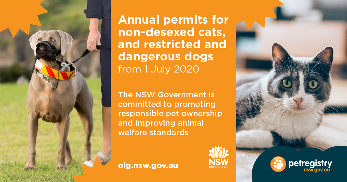 New annual permits for cats and dogs MidCoast Council