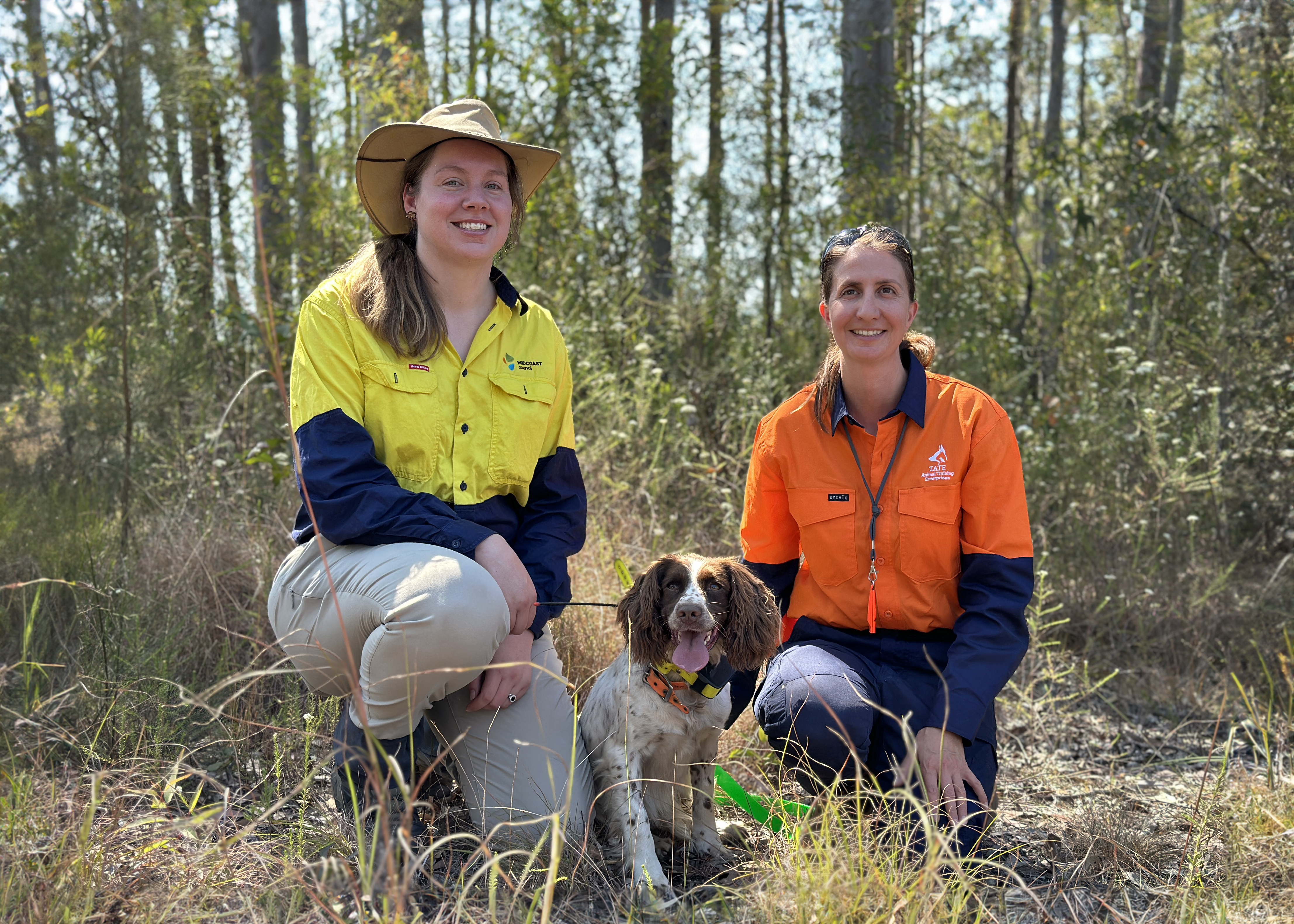 MidCoast Council's Caitlin Orr with Tate Animals' Claire Chiotti and Dash the koala detection dog.jpg