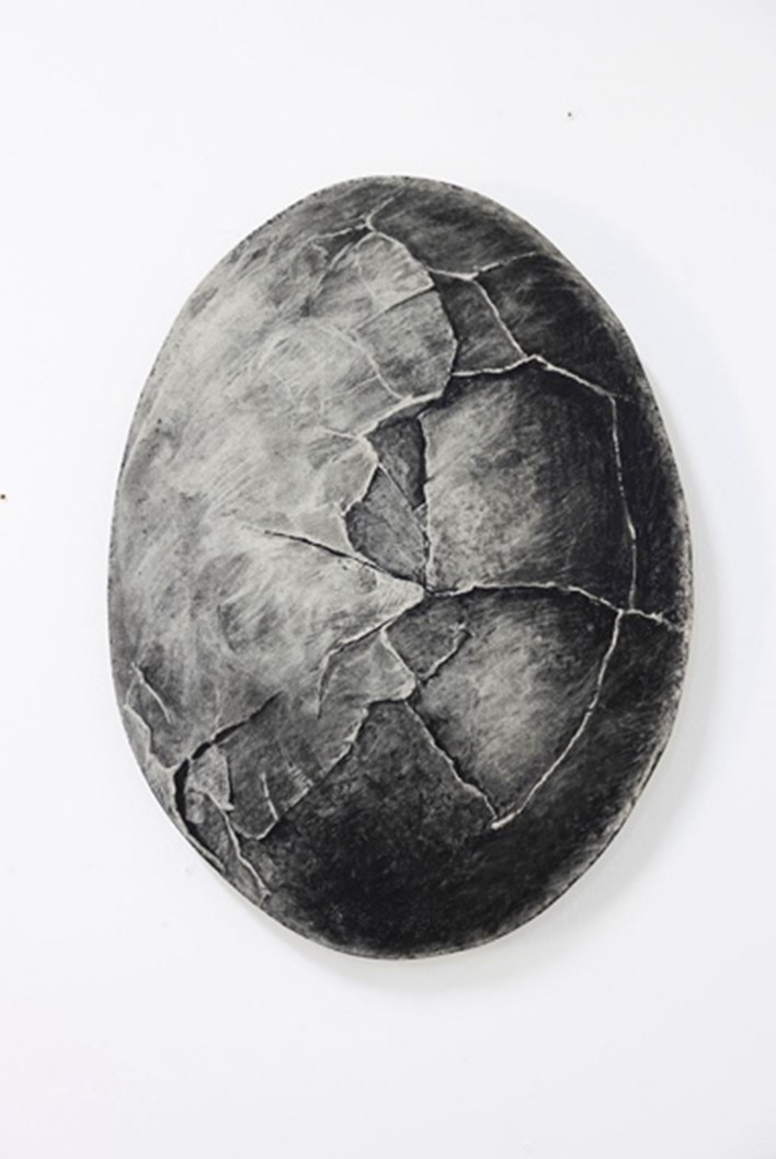 Anna Louise Richardson, Good egg, 2023, charcoal on cement fibreboard, 50 x 37 cm..jpg