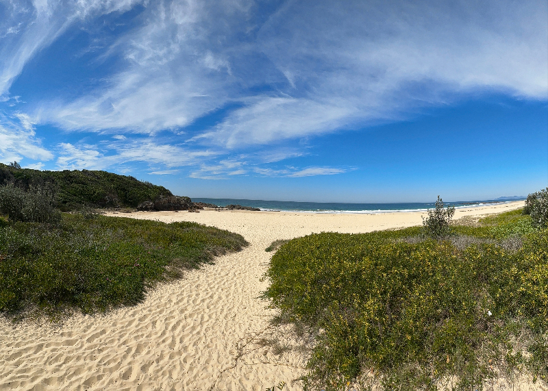 Black Head Back Beach and Flora Reserve - MidCoast Council