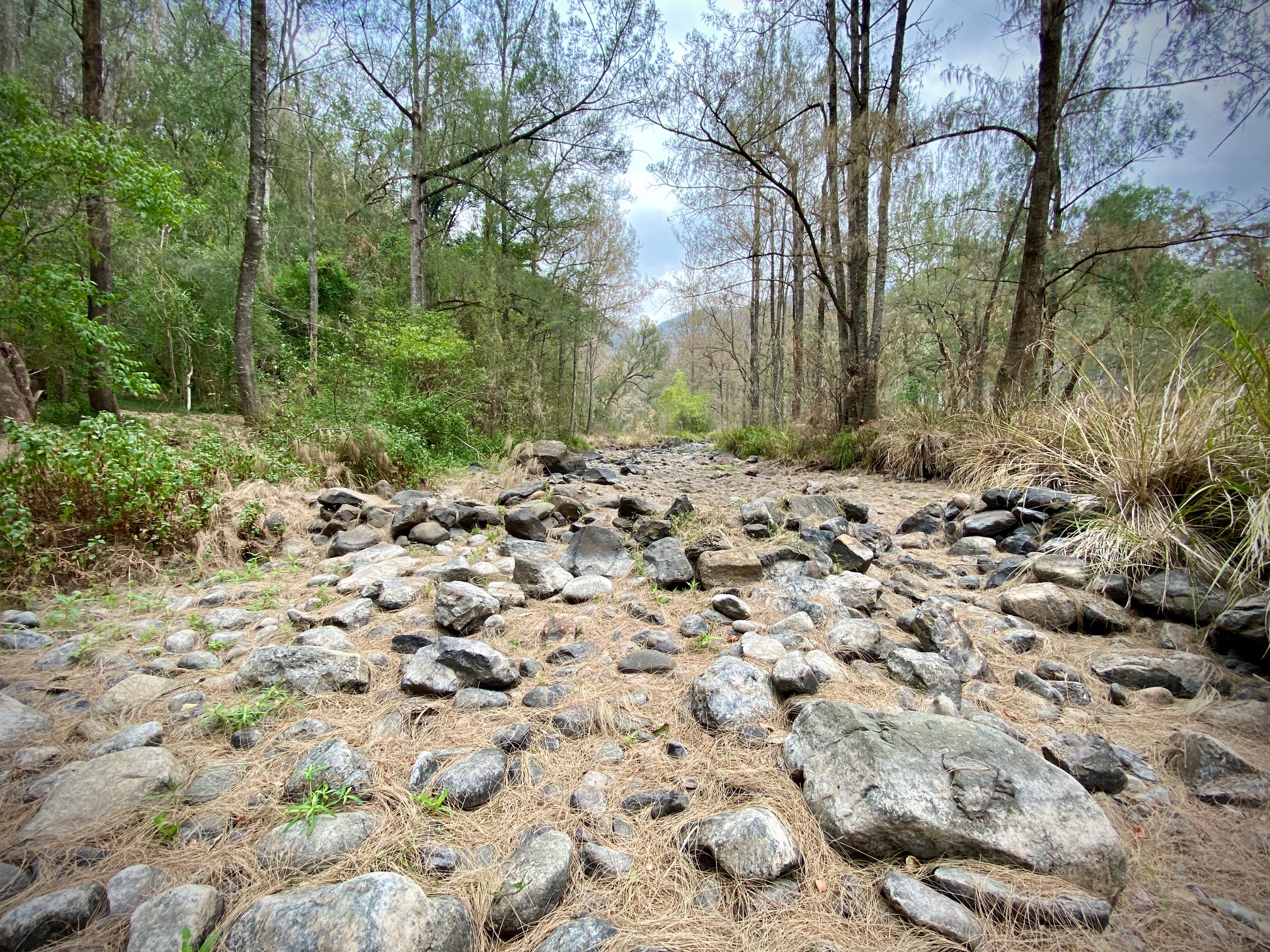 Manning River in Gloucester