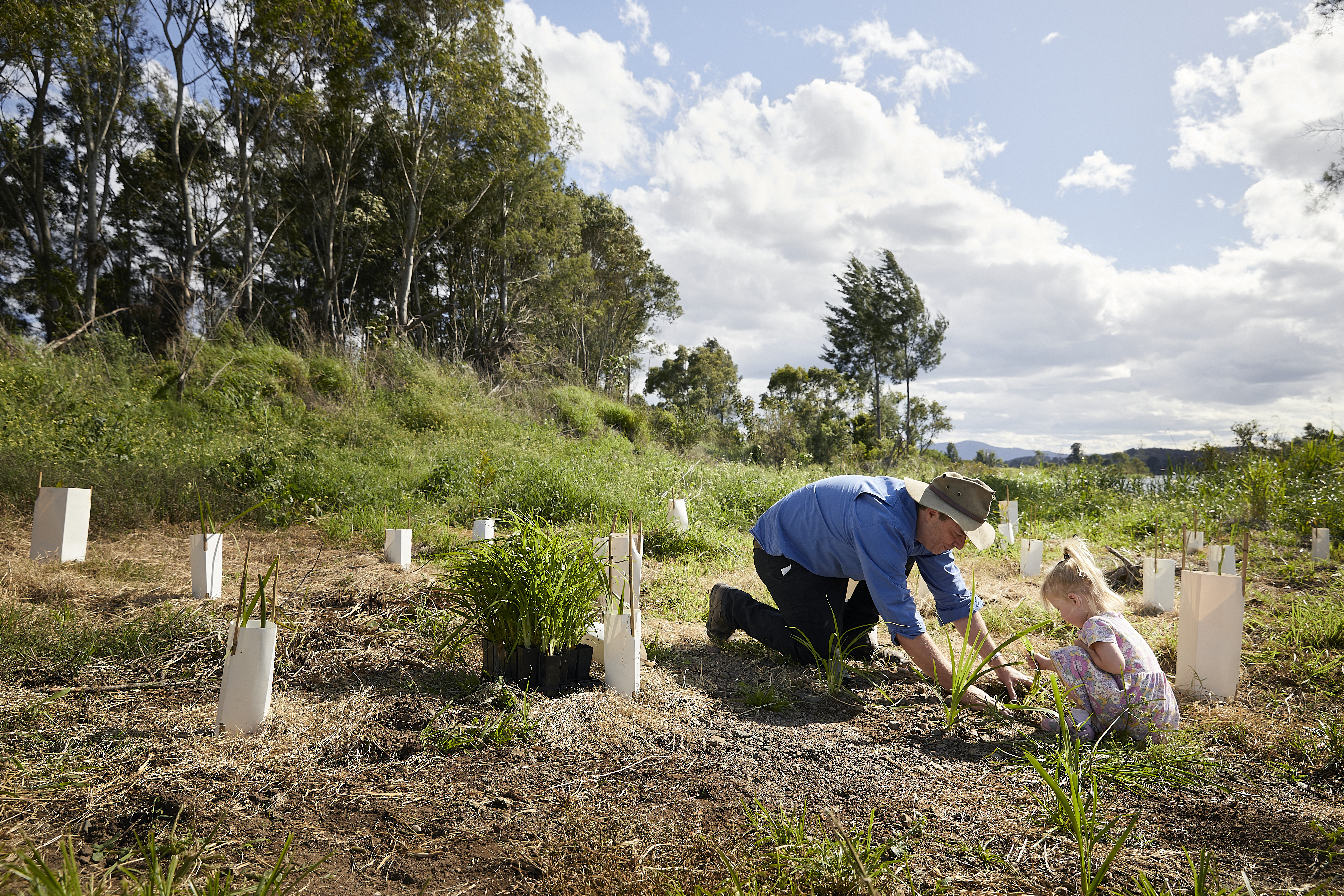 Tree planting image.jpg